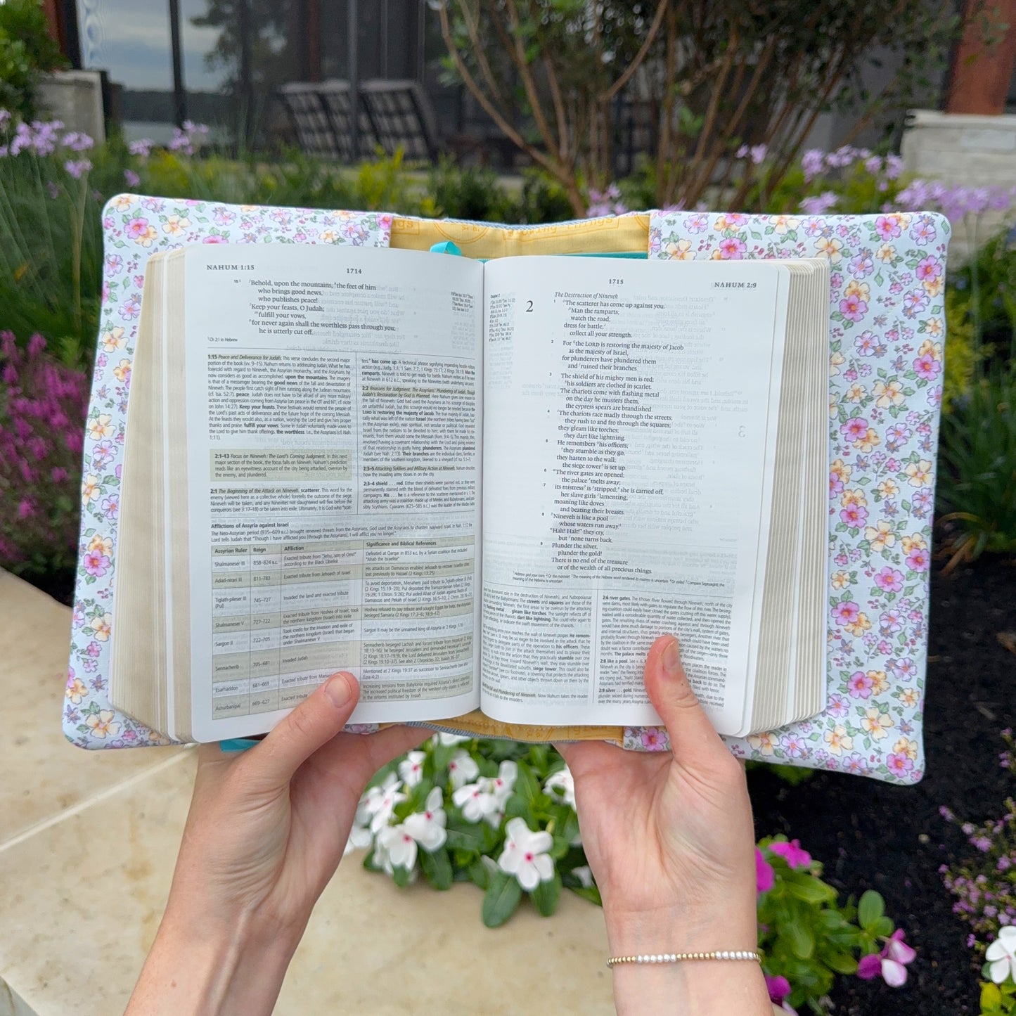 The Meadow Bible cover