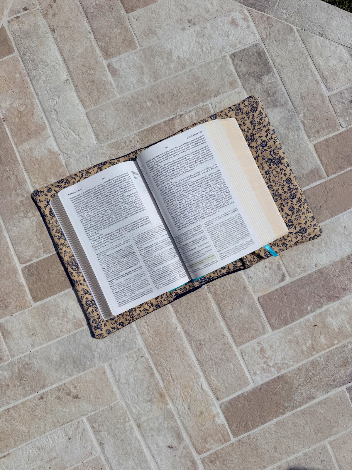 The Holy Bible